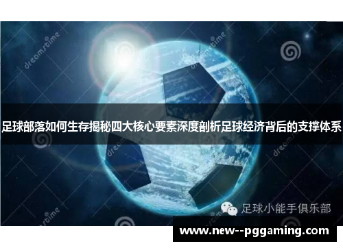 足球部落如何生存揭秘四大核心要素深度剖析足球经济背后的支撑体系